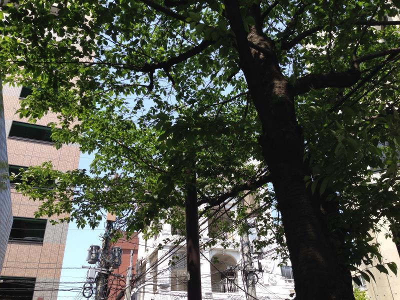 Fukuoka Guesthouse Little Asia Kokura Kitakyushu Exterior foto